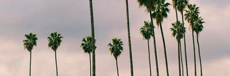 hftay11's profile banner image