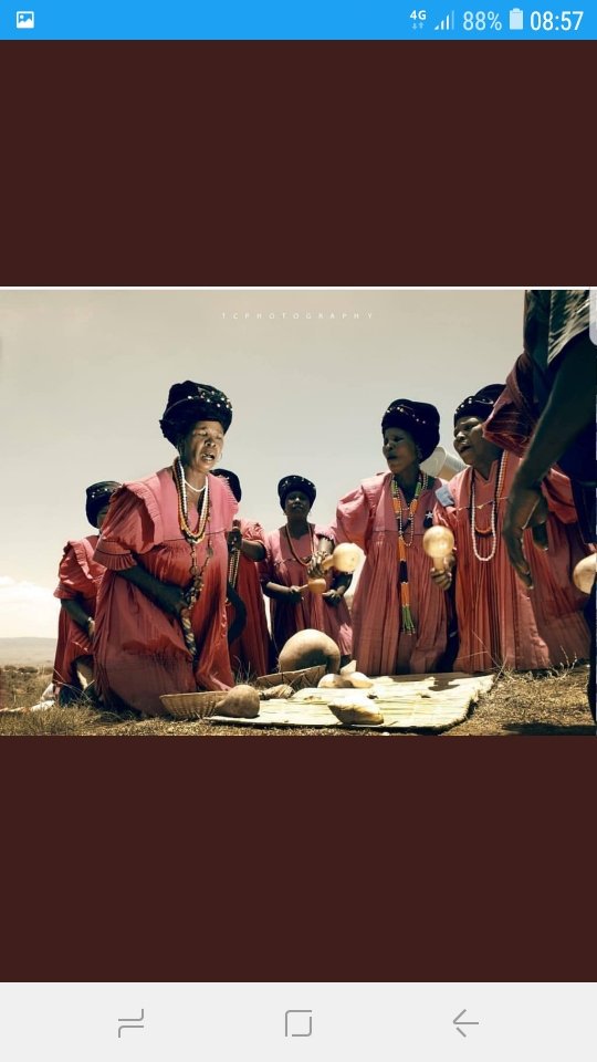 T. mashiloane banner