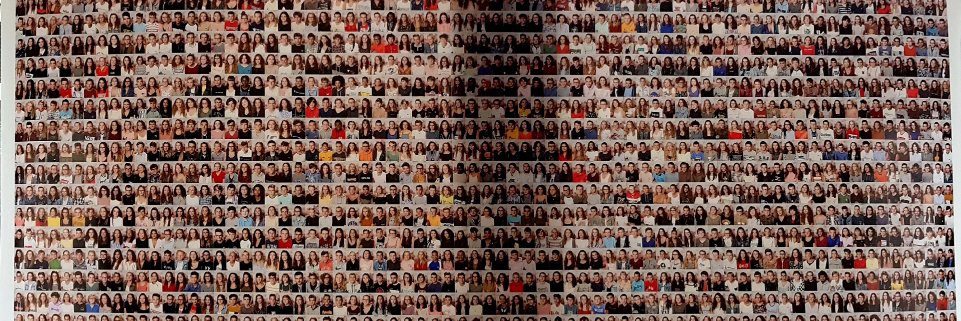 Wilfrid Grossin banner