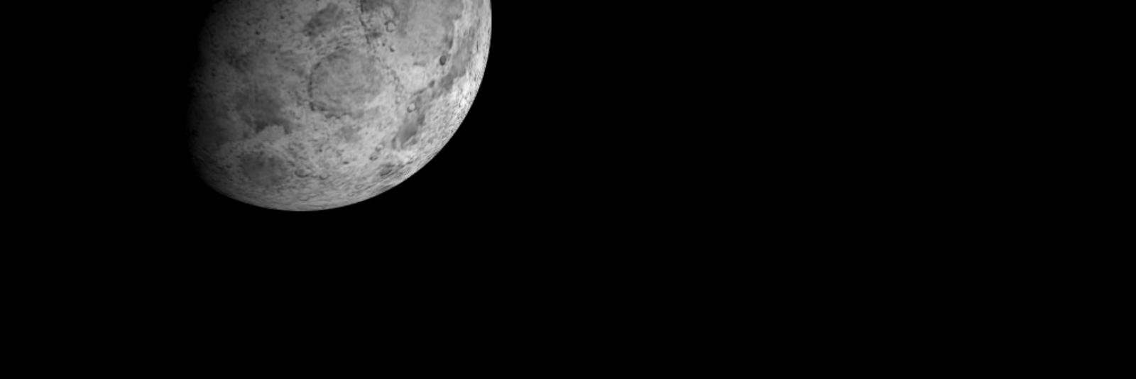 jendonatelli's profile banner image