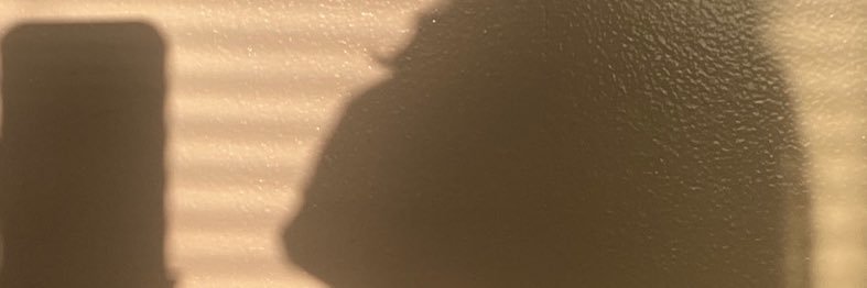 lingbuns's profile banner image