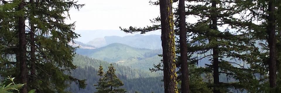 QuarryAmy's profile banner image