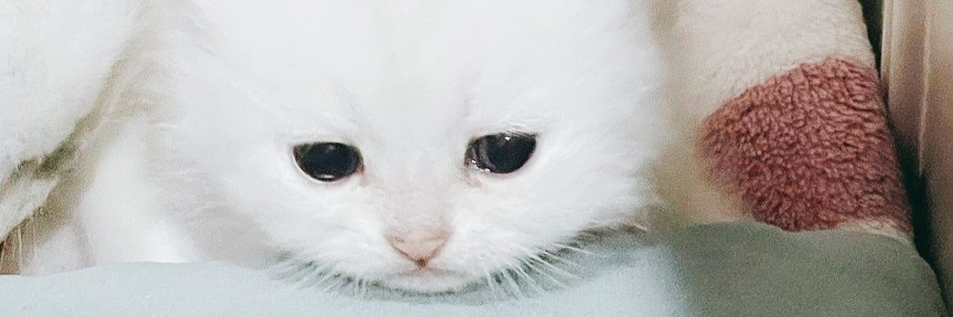 ISMEPiiN's profile banner image