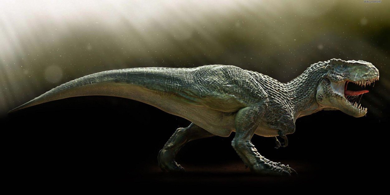 Turnesaurus's profile banner image