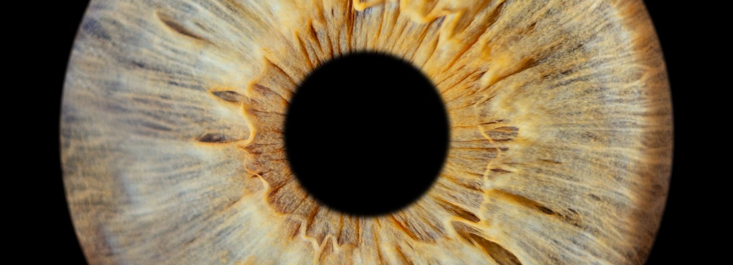 SoffDG's profile banner image