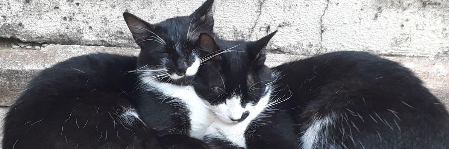 Saveiro pega no breu banner