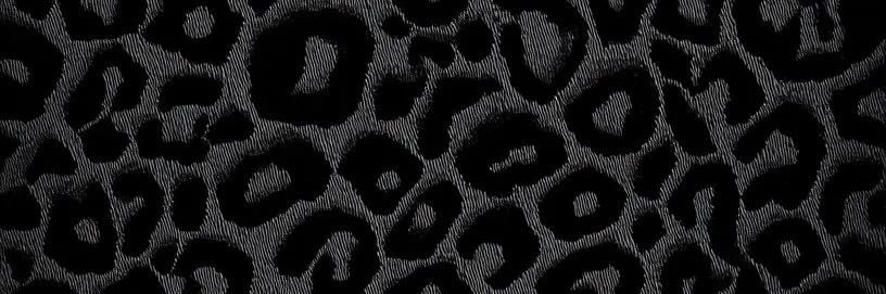 _JaredL's profile banner image
