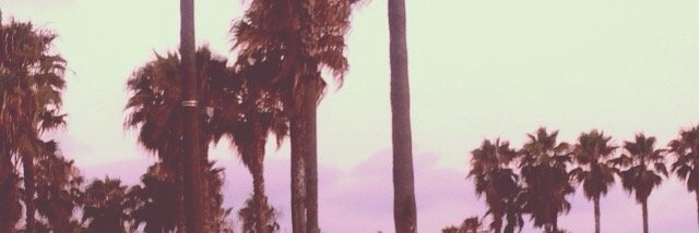 ericaa's profile banner image