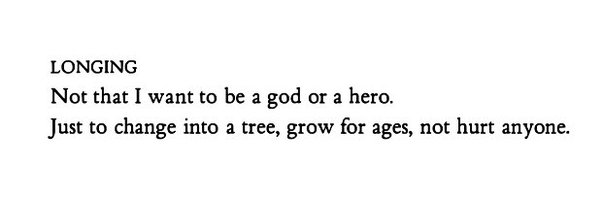 julideda Profile Banner