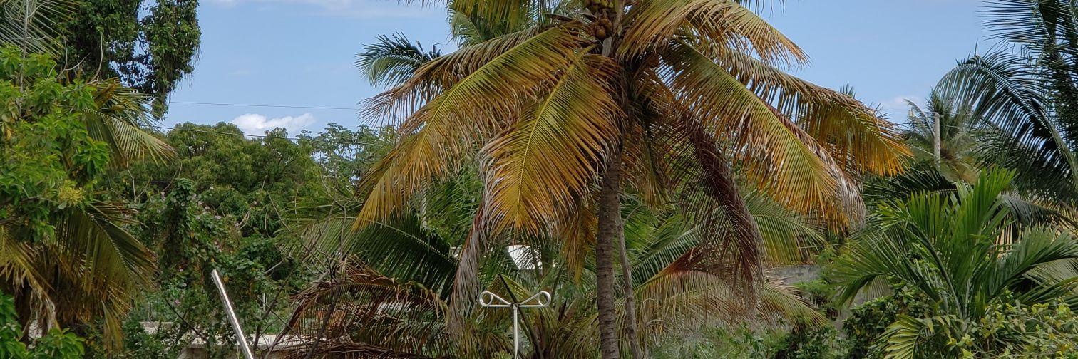edwinrig's profile banner image