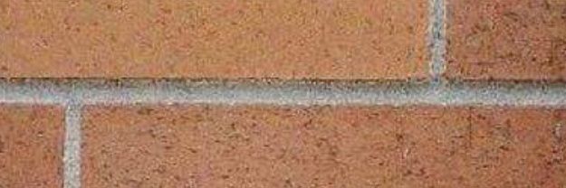 Alleyarms banner