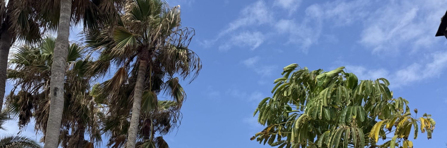 ilonabtw's profile banner image