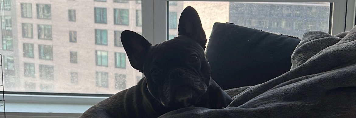 ynabeldotcom's profile banner image