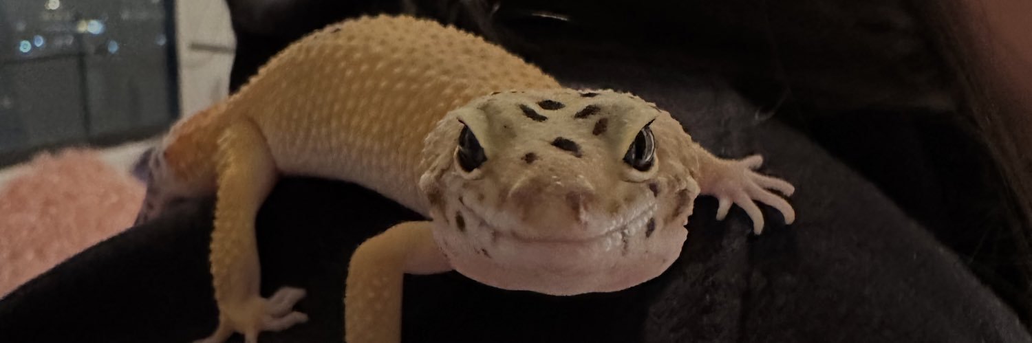 mariamanon_'s profile banner image