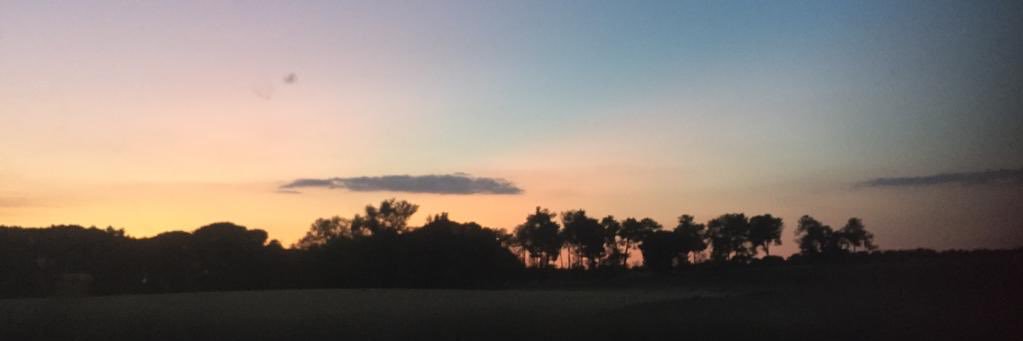marialoria_'s profile banner image