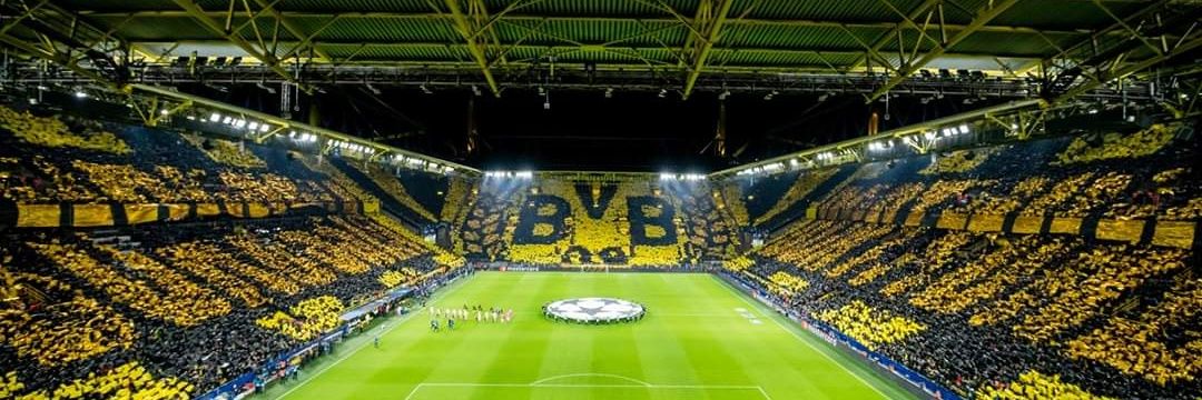 Stöpsel🇬🇪 banner