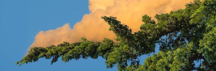 1classydavid's profile banner image