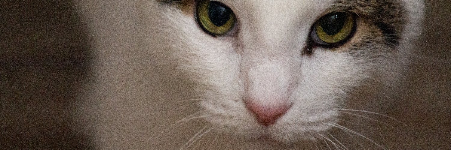 JDMH_'s profile banner image