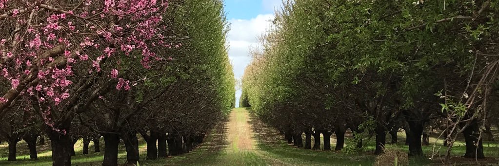 Ori Ben Ner 🎗️ banner