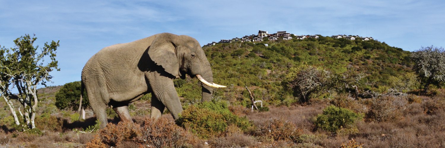 KuzukoLodge's profile banner image