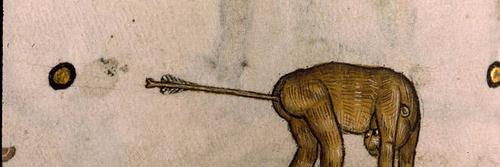 medievalpix's profile banner image