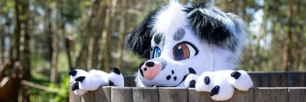 BruceDoggo Profile Banner