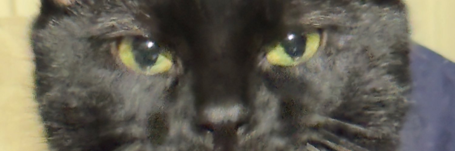 XBluestoneTechX's profile banner image