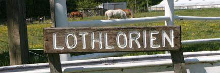 LothlorienTRC's profile banner image