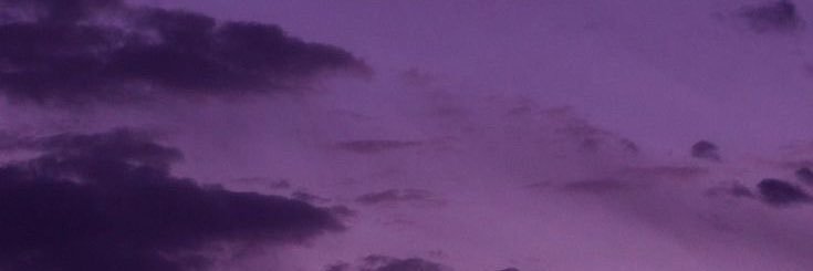 beea997's profile banner image