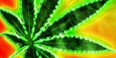 antoniomuoz5's profile banner image