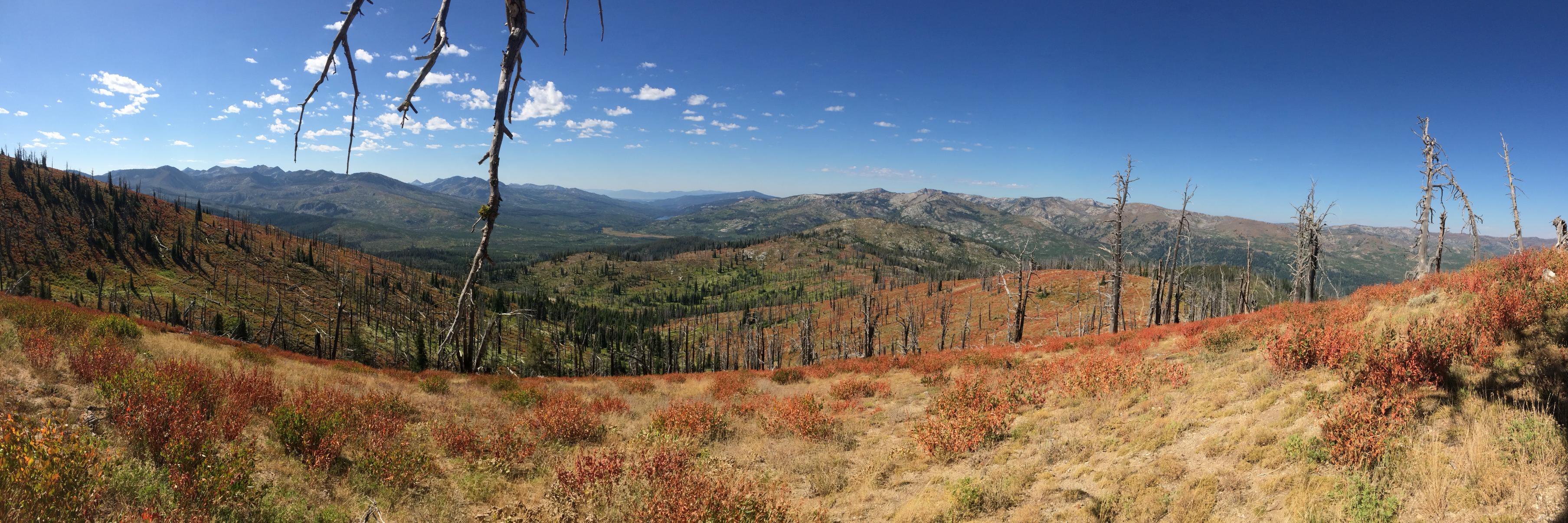 Idaho_CC's profile banner image