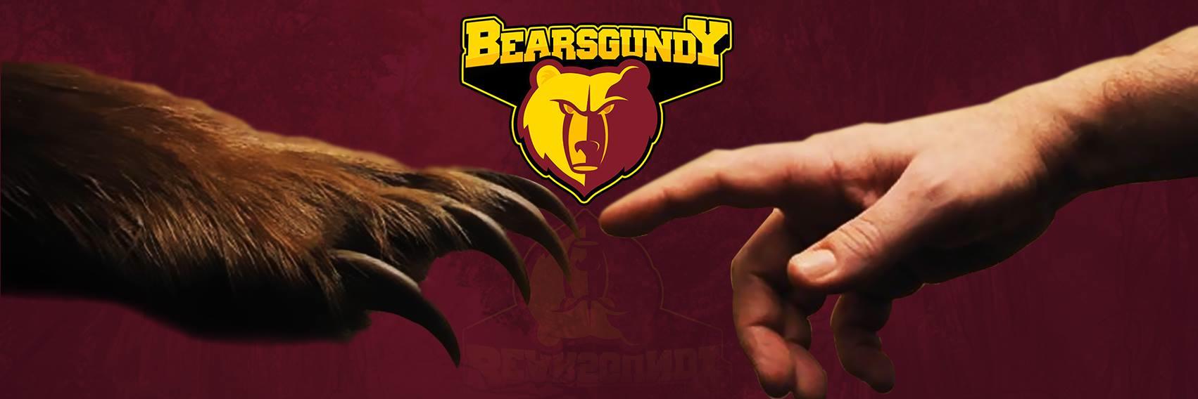 bde_bearsgundy's profile banner image