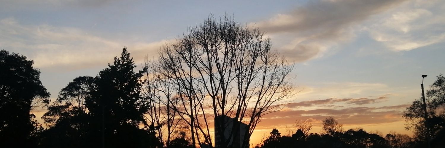 povedaa01's profile banner image