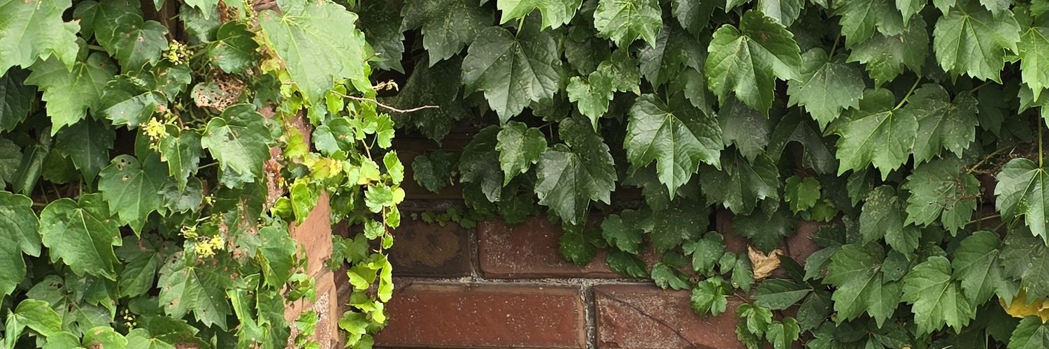 Green_Weem's profile banner image
