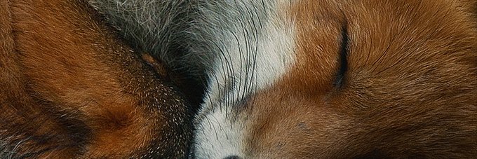_theozera's profile banner image