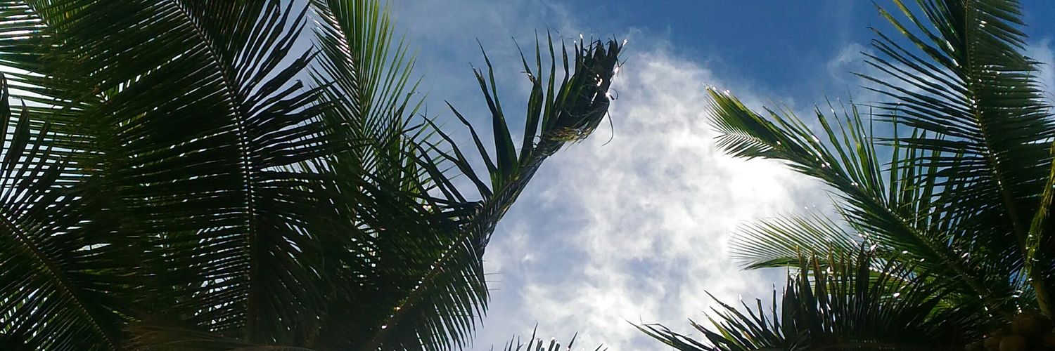 Fratoes's profile banner image