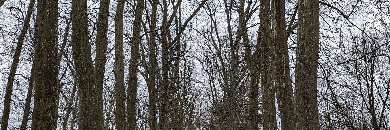 EdroMoy's profile banner image