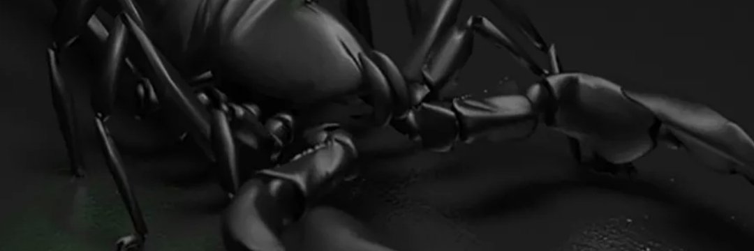 Anthonygorxn's profile banner image