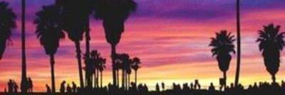 antoniagravvan1's profile banner image