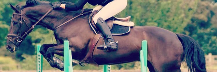 IsabellaStadden's profile banner image