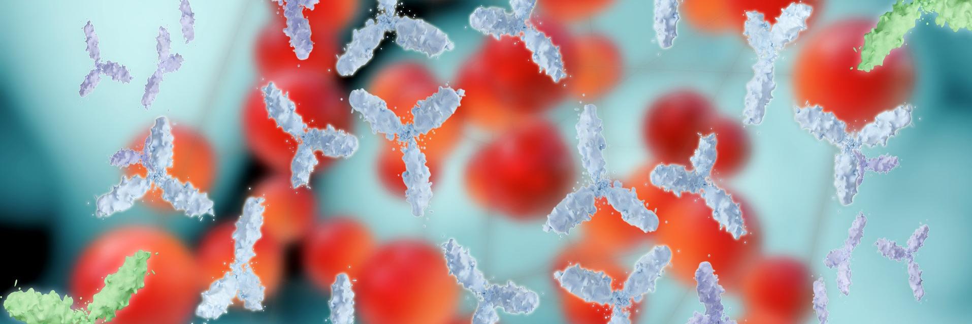 CarterBiotech's profile banner image