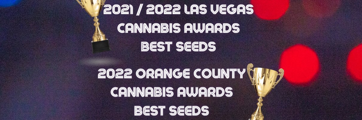 WeedGuardians's profile banner image