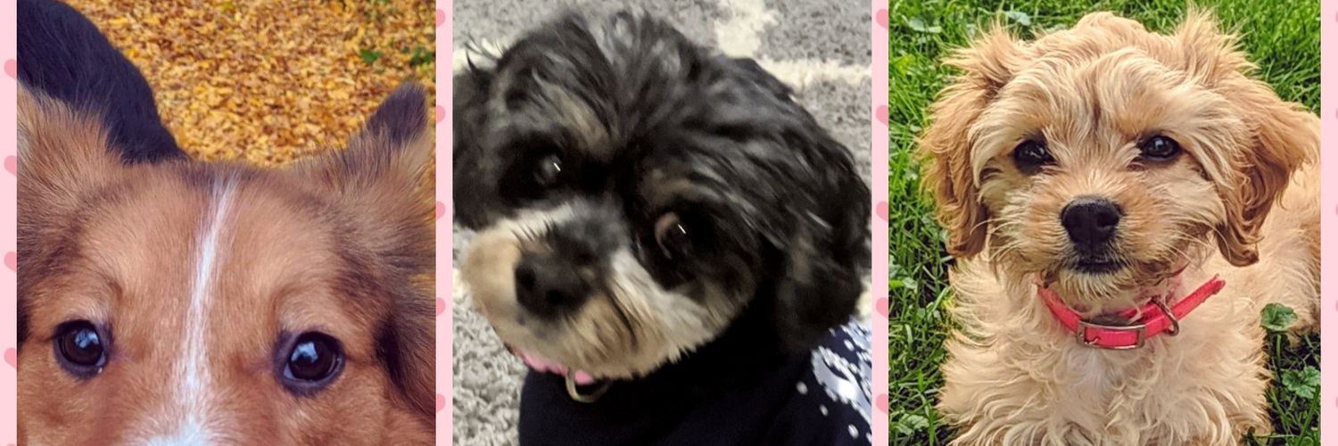 KaylynnWilliams's profile banner image