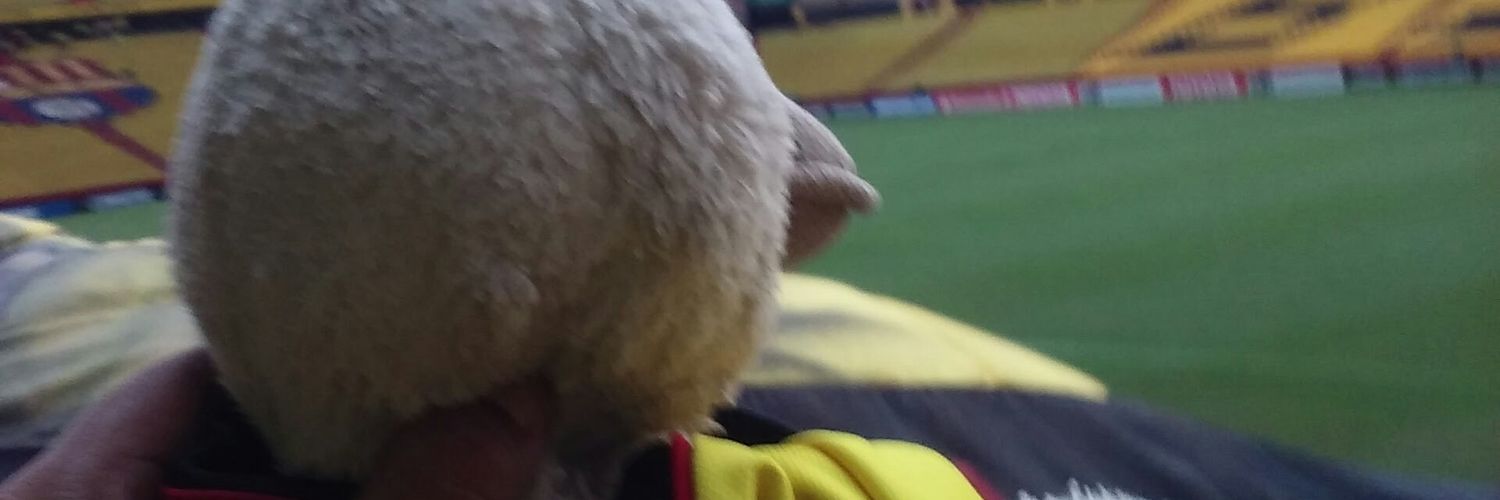 macallito's profile banner image