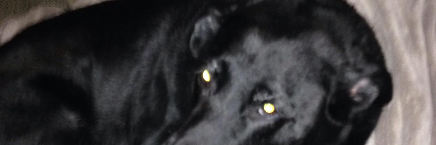 MickiFenty's profile banner image