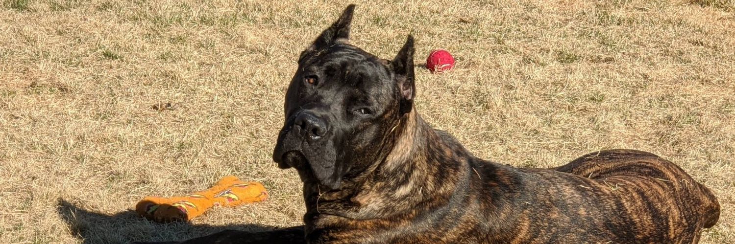 conrad_thegod's profile banner image