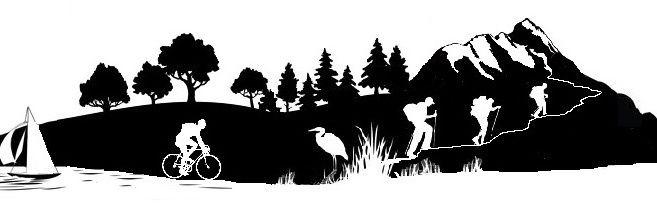 Giorgio Matteucci banner