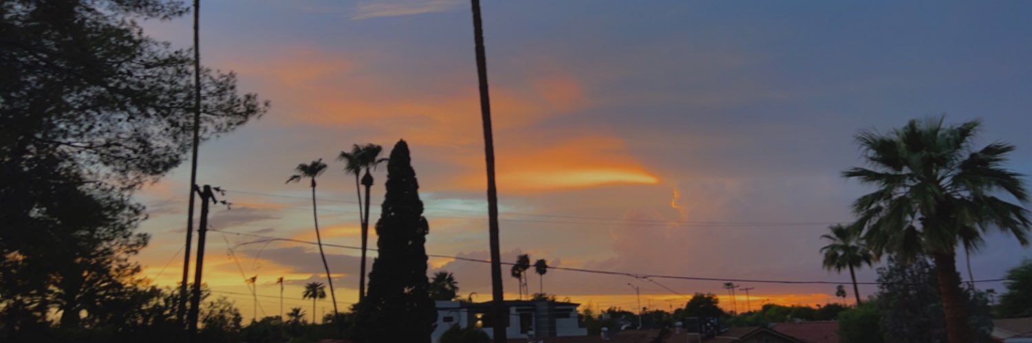lissettelavett's profile banner image