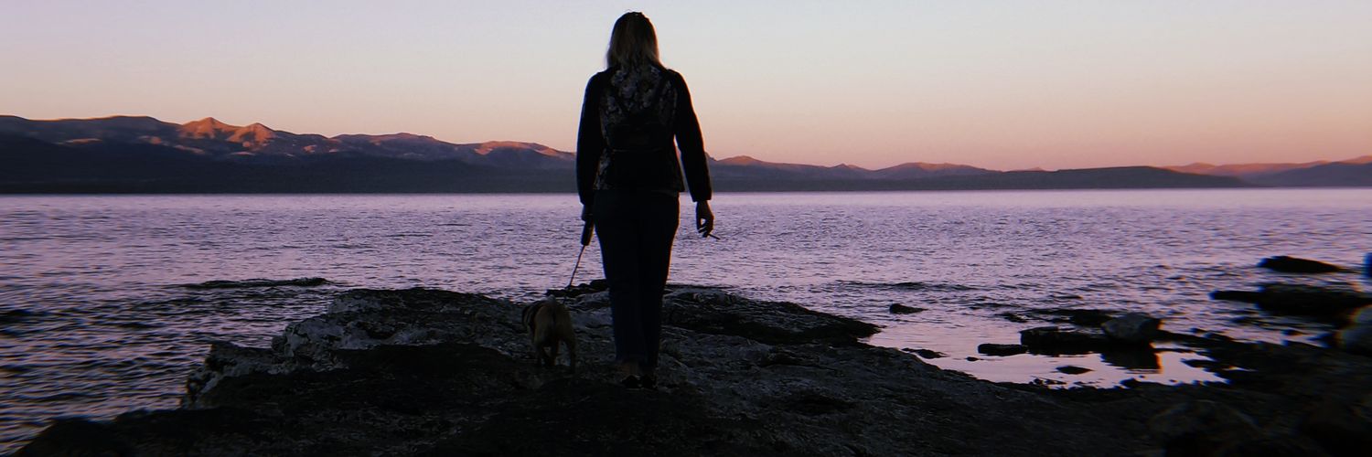 the_fuxi's profile banner image