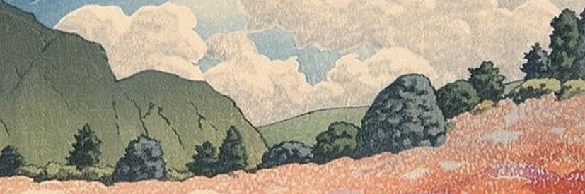 caleefy's profile banner image